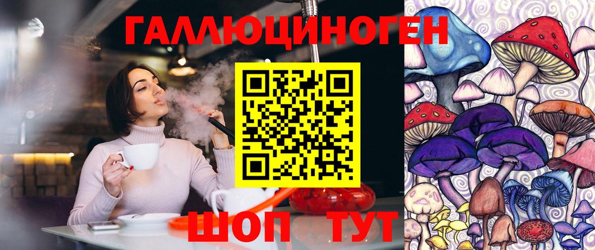 Псилоцибиновые грибы Cubensis Крымск
